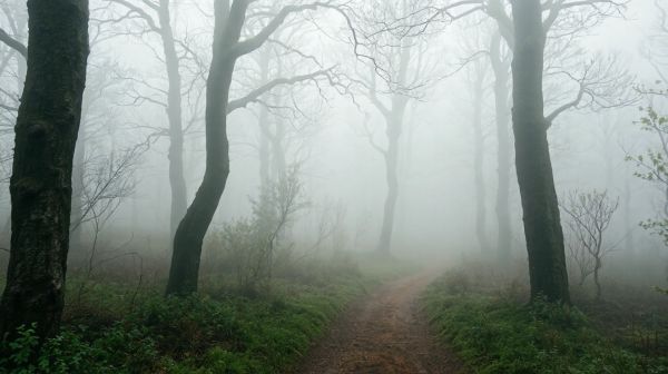 Comprendre la densité du brouillard en France pour une meilleure sécurité
